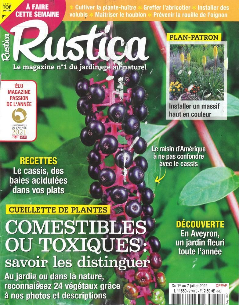 Rustica