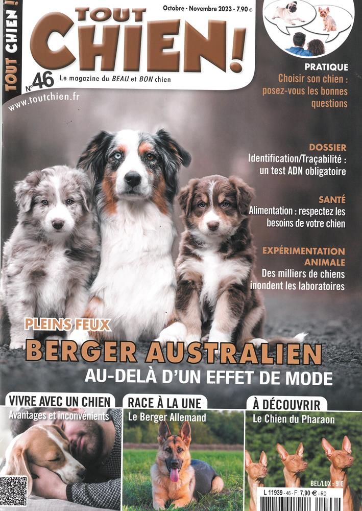 Tout Chien !