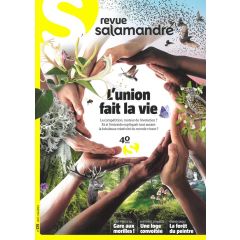 La Salamandre