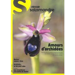 La Salamandre