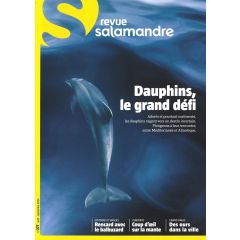 La Salamandre
