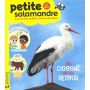 La Petite Salamandre
