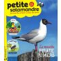 La Petite Salamandre