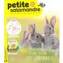 La Petite Salamandre