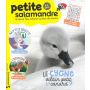 La Petite Salamandre