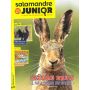 La Salamandre Junior
